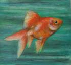 Goldfish 1 - Acrylic / mixed media on card, 14cm x 14cm, price £195